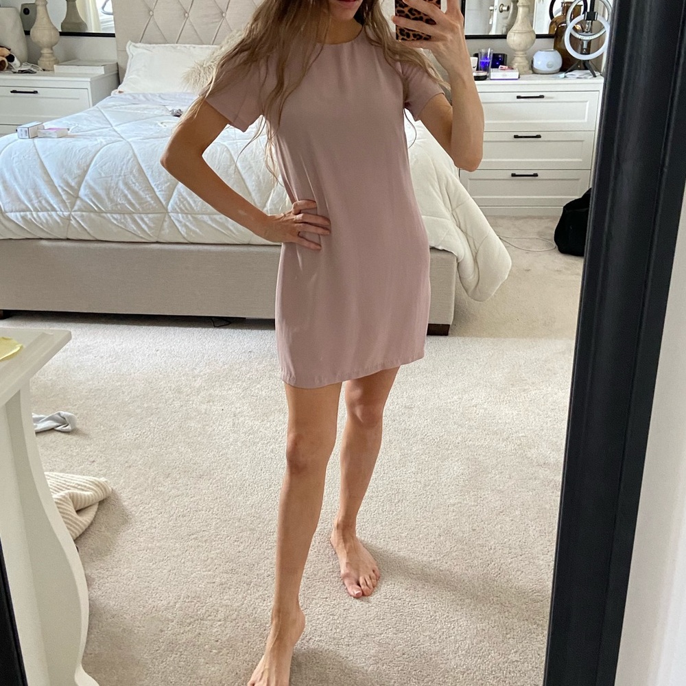 Olivaceous Blush Pink Dress